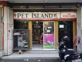 Pet Island