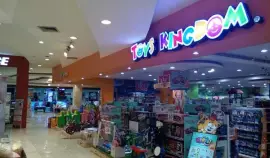 Toys Kingdom