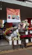 Mulyo Florist