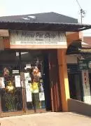 Meow Pet Shop Medan