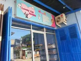 Lovely Cat Pet Shop