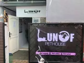 Lunof Shop