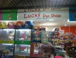 Lucky Petshop