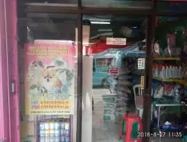 Roy Pet Shop