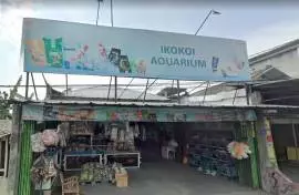 Ikokoi Akuarium