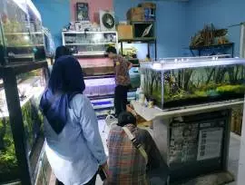 Aquatico Aquascape Semarang