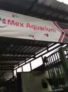 Mex Aquarium