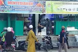 Green arowana samarinda