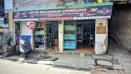 JAYA AQUARIUM CIPADUNG