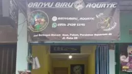 Banyu biru aquatic