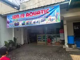 WN12 Aquatic Madiun