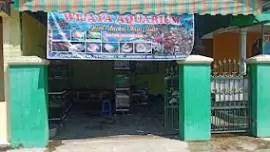 Wijaya Aquarium dan Ikan Hias