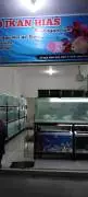 Toko Ikan Hias Opikaquarium