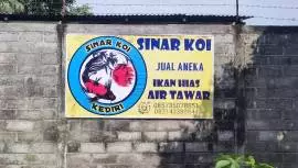 Ikan Hias Pak Tur