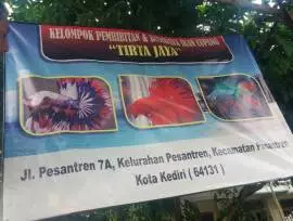 Cupang Tirta Jaya