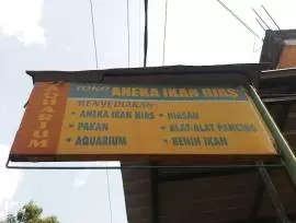 Toko Aneka Ikan Hias Dan Aquarium