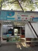 Toko ikan hias “ALL IN AQUATIC”