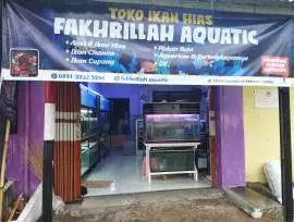 Toko Ikan Hias Fakhrillah Aquatic