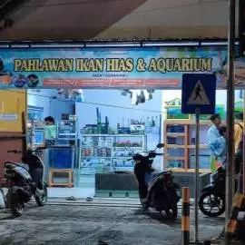 Ikan Hias Pahlawan 2