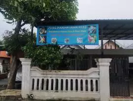 Toko Ikan & Perlengkapan Aquarium Aquascape