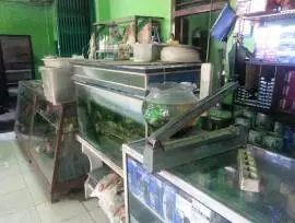 Sanggar Ikan Hias Akuarium