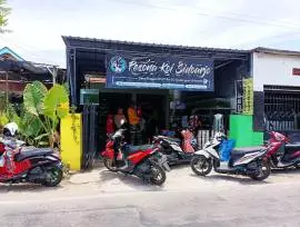 Jual Ikan Hias Pesona Aquarium Sidoarjo