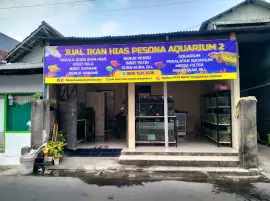 Jual Ikan Hias Pesona Aquarium Sidoarjo 2 