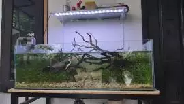 Toko Aquasentris