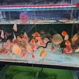 Puri Aquarium