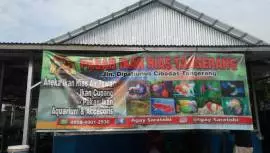 Pasar Ikan Hias Cibodas Tangerang