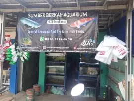 Sumber berkah aquarium ciledug