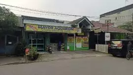 MAYOR AQUARIUM