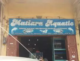 Mutiara Aquatic