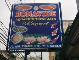 bonavide aquarium tetap jaya