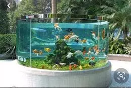 THE VIRAL AQUASCAPE