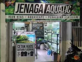 Jenaga Aquatic - Toko Ikan Hias & Aquascape