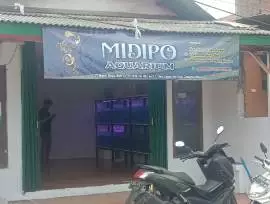 Midipo aquarium