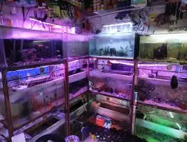 AQUARIUM TEBET 