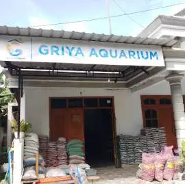  Griya Aquarium &amp; Ikan Hias