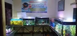 Fha’ind Fish Aquarium