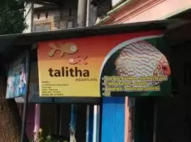 Talitha Aquariums