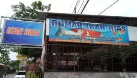 Rumah Ikan Hias