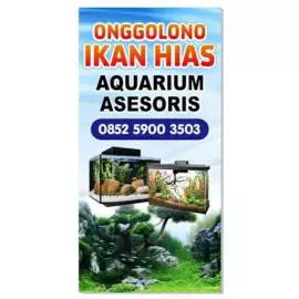 ONGGOLONO IKAN HIAS