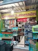 Gatut Koco 2 Aquarium&ikan hias