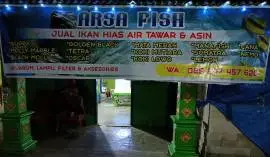 Arsa Fish