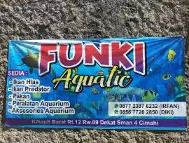 Funki aquatic