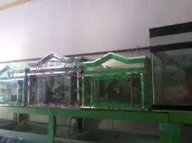 Dian Aquarium