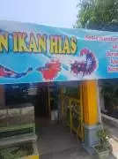 Jual Aquarium dan Ikan Hias Novi Dedy