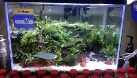  GT AQUASCAPE