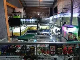 DUNIA AIR Toko Ikan Hias Dan Aquarium